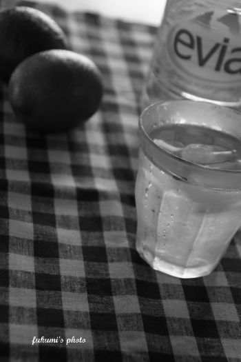 a0117102_2010302.jpg