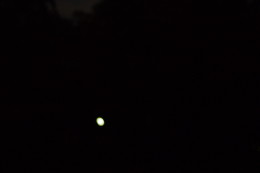 a0007906_2002360.jpg
