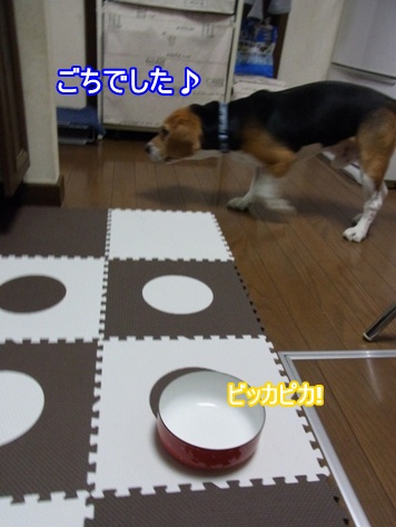 c0205806_15462442.jpg