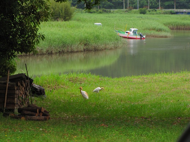 d0037110_0158100.jpg