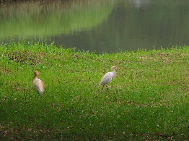 d0037110_032915.jpg