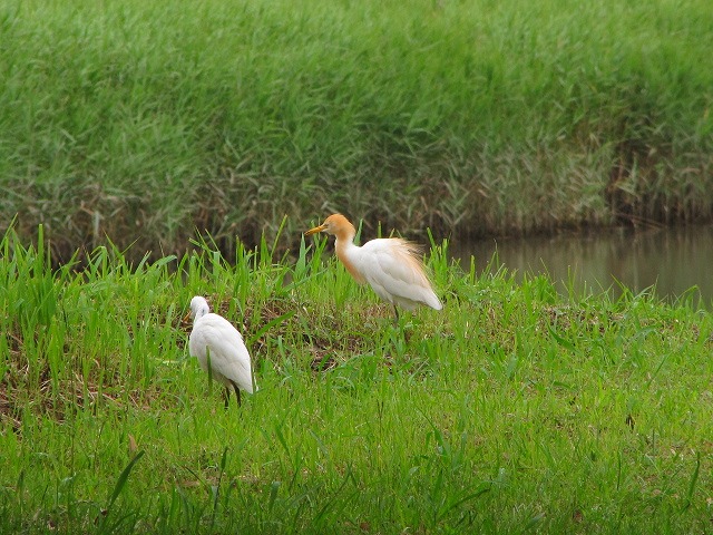 d0037110_041566.jpg