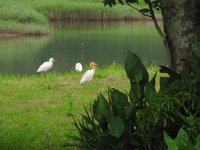 d0037110_043890.jpg