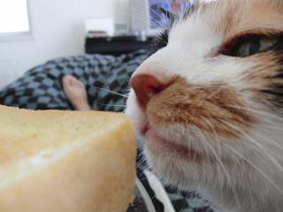 c0201113_222735.jpg