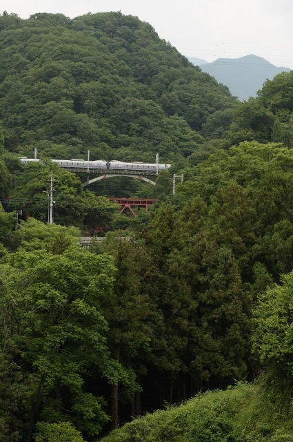 e0005714_042075.jpg