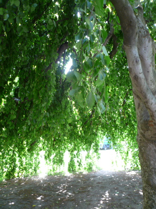 f0200015_2323483.jpg