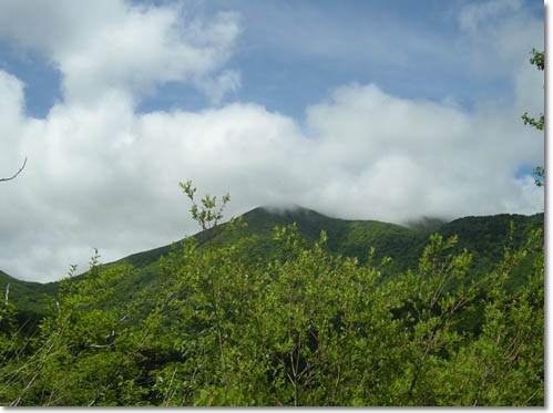 d0080118_174638.jpg