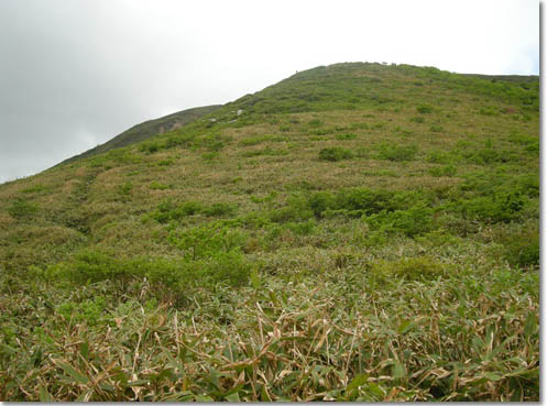 d0080118_1832432.jpg