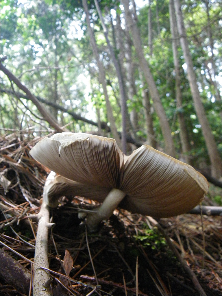 c0189724_20101382.jpg