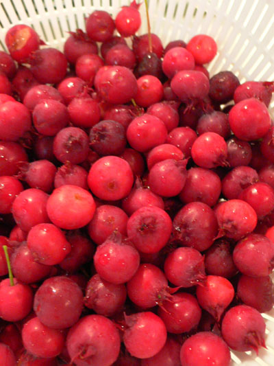 f0061334_2111964.jpg