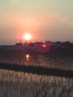 f0207838_803381.jpg
