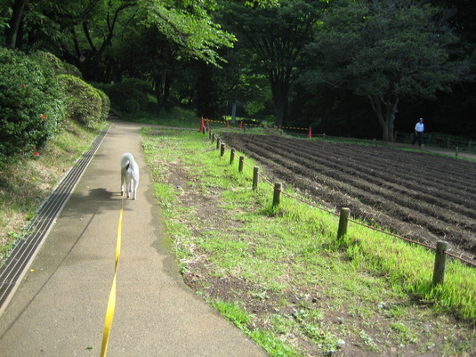 b0086939_13192499.jpg
