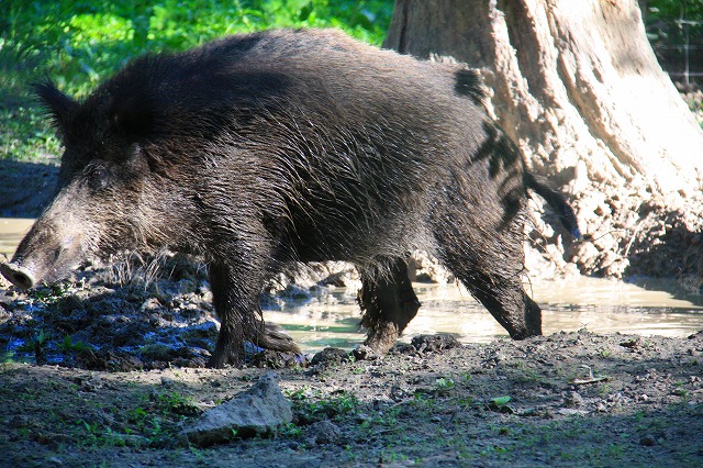 c0153740_513510.jpg