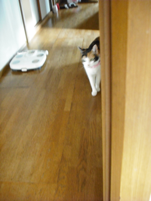 c0194042_21365496.jpg
