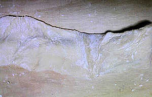 d0039443_13205055.jpg