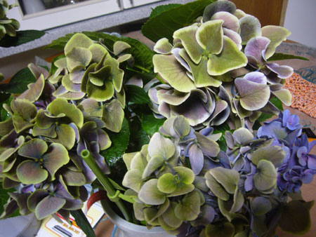 d0163550_22293511.jpg