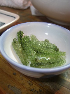 f0009451_5493325.jpg