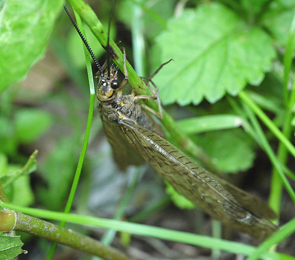 d0091754_0534191.jpg