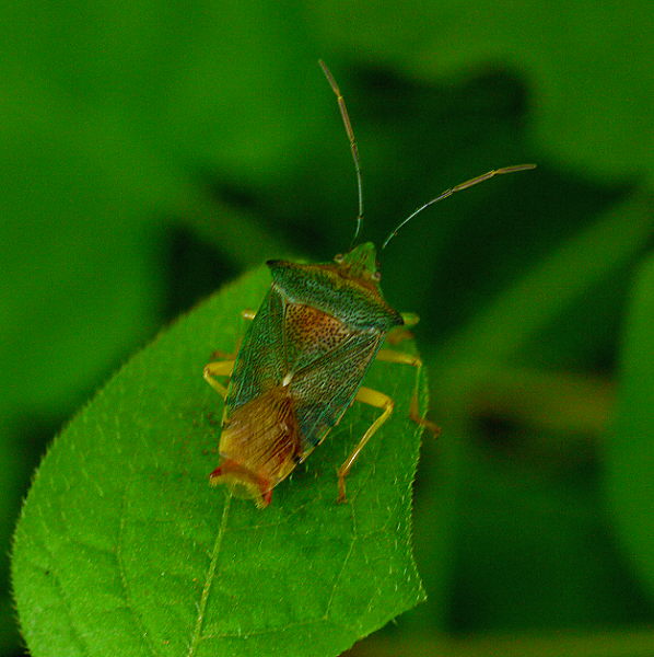d0091754_135896.jpg