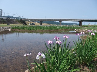 c0208355_14532051.jpg
