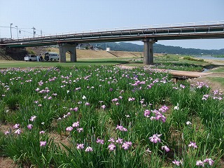 c0208355_14532791.jpg
