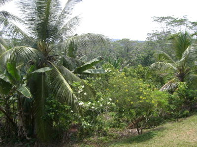 e0130657_22385932.jpg