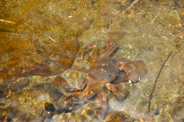 f0176458_1411993.jpg