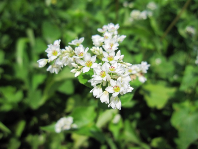 c0134862_21134728.jpg