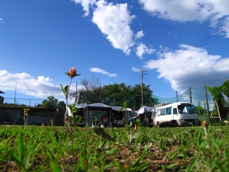e0169262_8174835.jpg