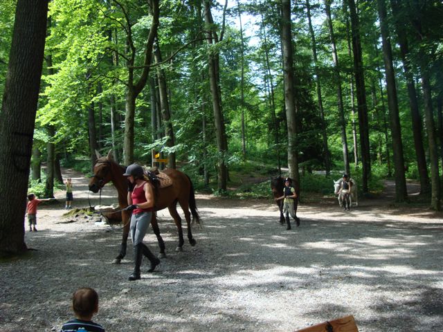 c0059063_64087.jpg