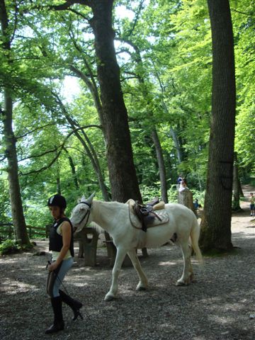 c0059063_643567.jpg
