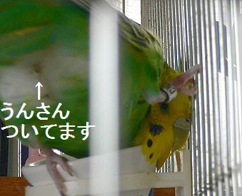 f0196665_041325.jpg