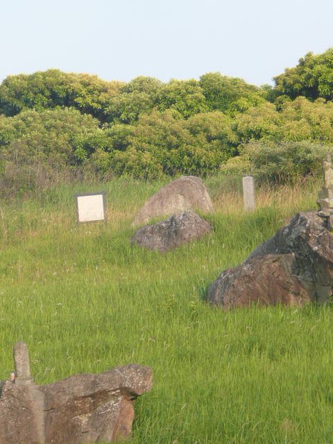 a0154870_11433566.jpg