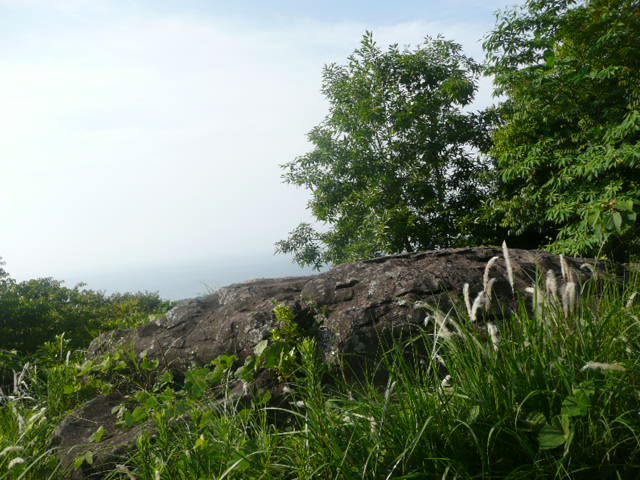 a0154870_11451126.jpg