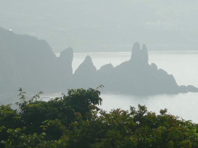 a0154870_11455450.jpg