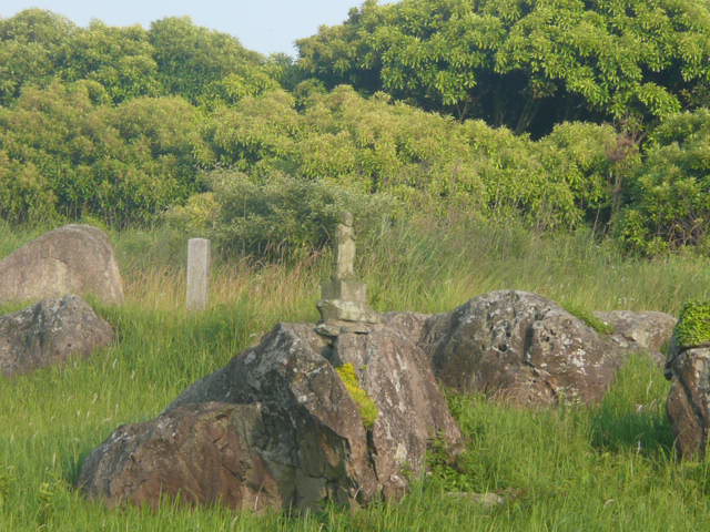 a0154870_11461486.jpg
