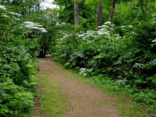 d0084473_20951100.jpg