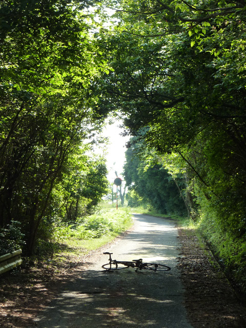 c0107075_11184675.jpg