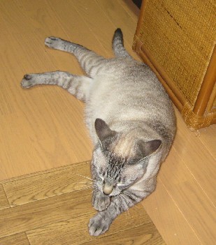 f0155475_062169.jpg