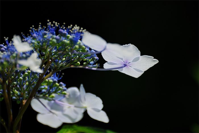f0108478_20414913.jpg