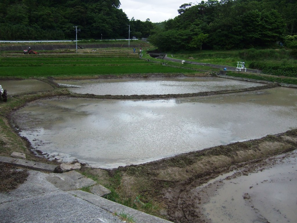 d0155786_20365124.jpg