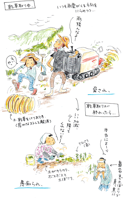 f0236291_21413739.gif