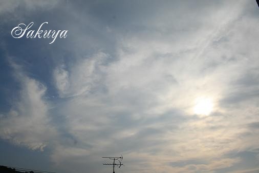 e0122194_1648192.jpg