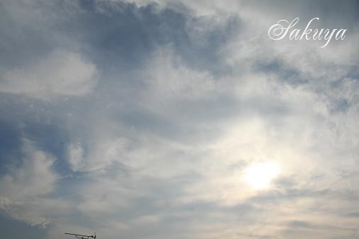 e0122194_1648769.jpg