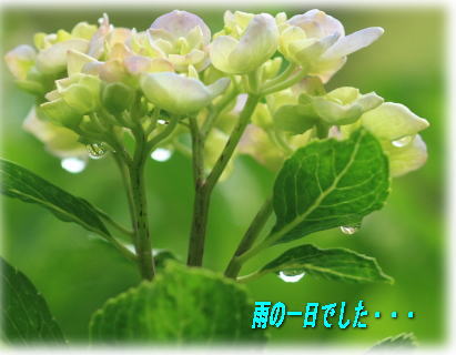 a0075802_21193217.jpg