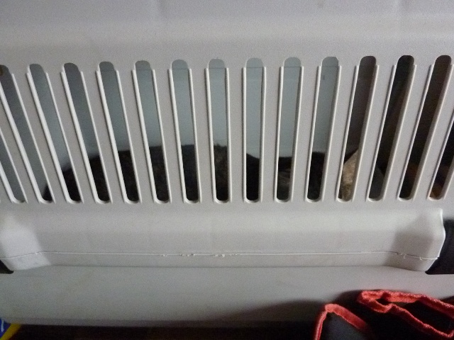e0018604_14401594.jpg