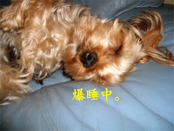 c0143711_20175552.gif