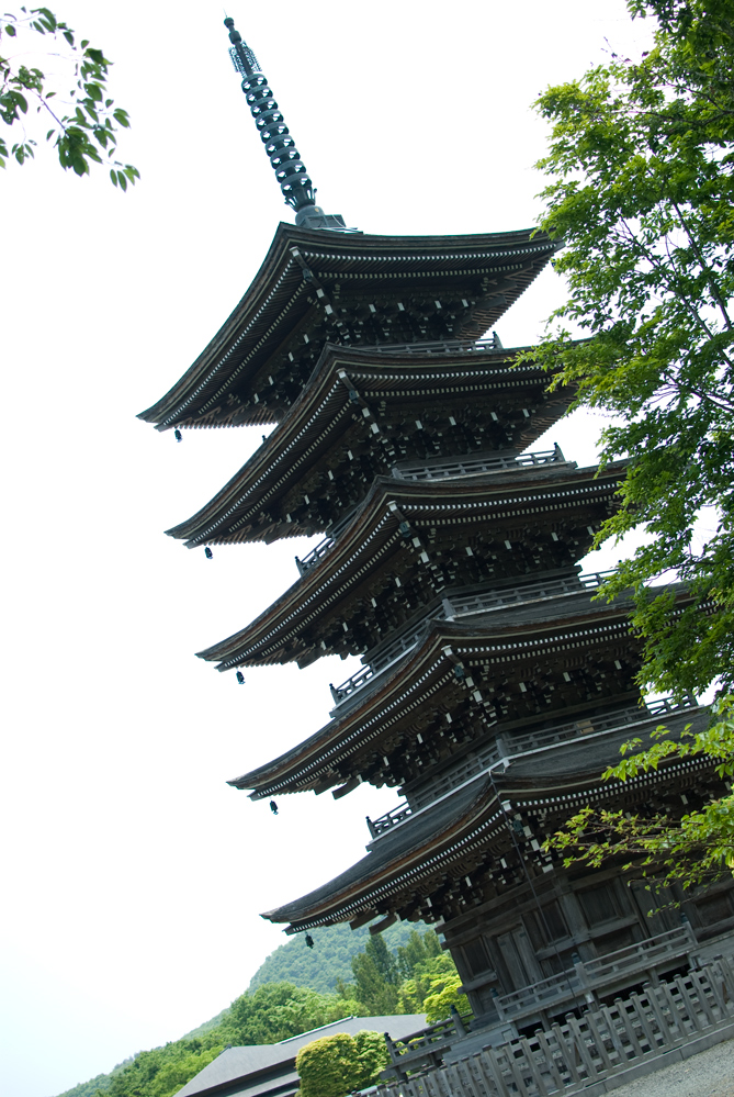 b0061615_23364.jpg