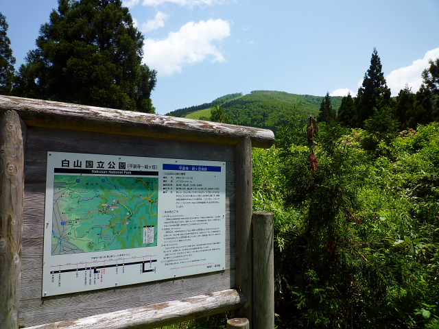 d0170615_8555876.jpg
