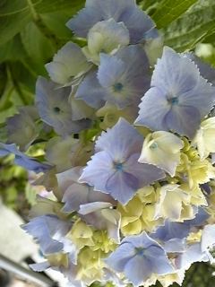 b0145616_0291645.jpg